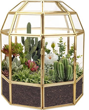 Vaso di vetro a forma di colombaio per piante, 9,2 pollici, design geometrico, per piante da appartamento, cactus e licheni.