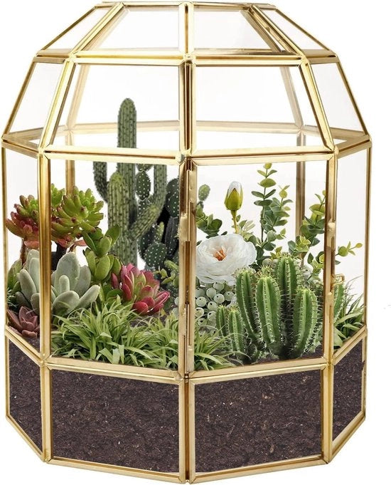 Vaso di vetro a forma di colombaio per piante, 9,2 pollici, design geometrico, per piante da appartamento, cactus e licheni.