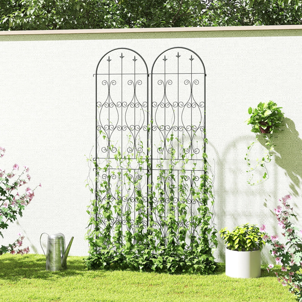 Supporto per piante rampicanti ¨C zephmum ¨C metallo 50x220 cm nero
