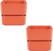 Vaso quadrato piccolo per piante grasso con piatto in plastica (2 12 cm) - vaso per piante mini