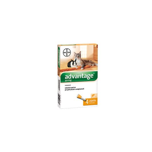 Advantage spot-on per gatti fino a 4 kg – 4 pipette – Trattamento antipulci efficace
