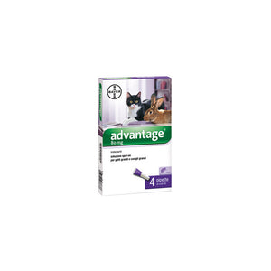 Advantage spot-on per gatti oltre 4 kg – 4 pipette – Protezione antipulci prolungata