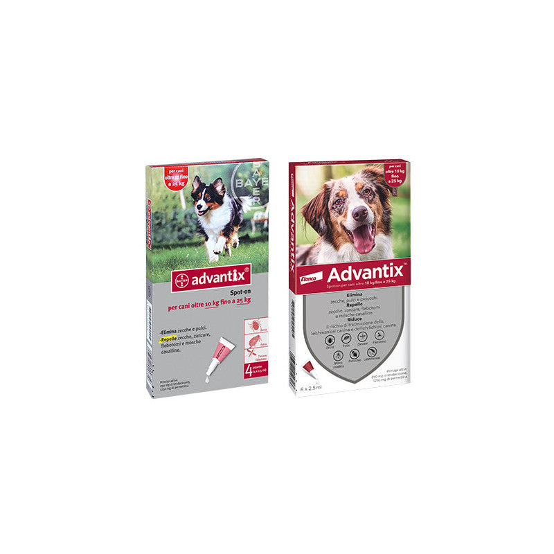 Advantix per cani 10–25 kg – 4 pipette da 2,5 ml – Protezione antiparassitaria