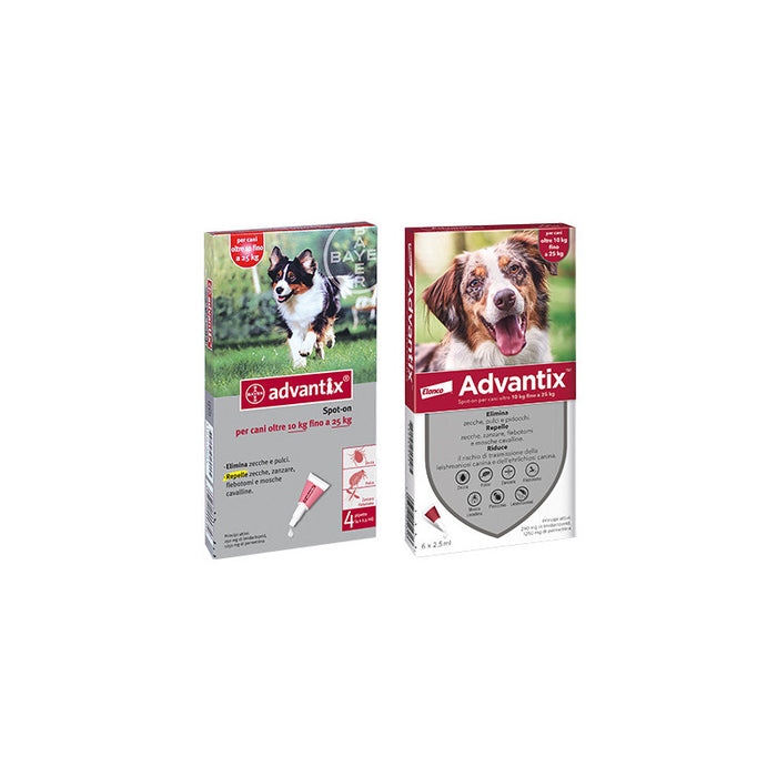 Advantix per cani 10–25 kg – 4 pipette da 2,5 ml – Protezione antiparassitaria