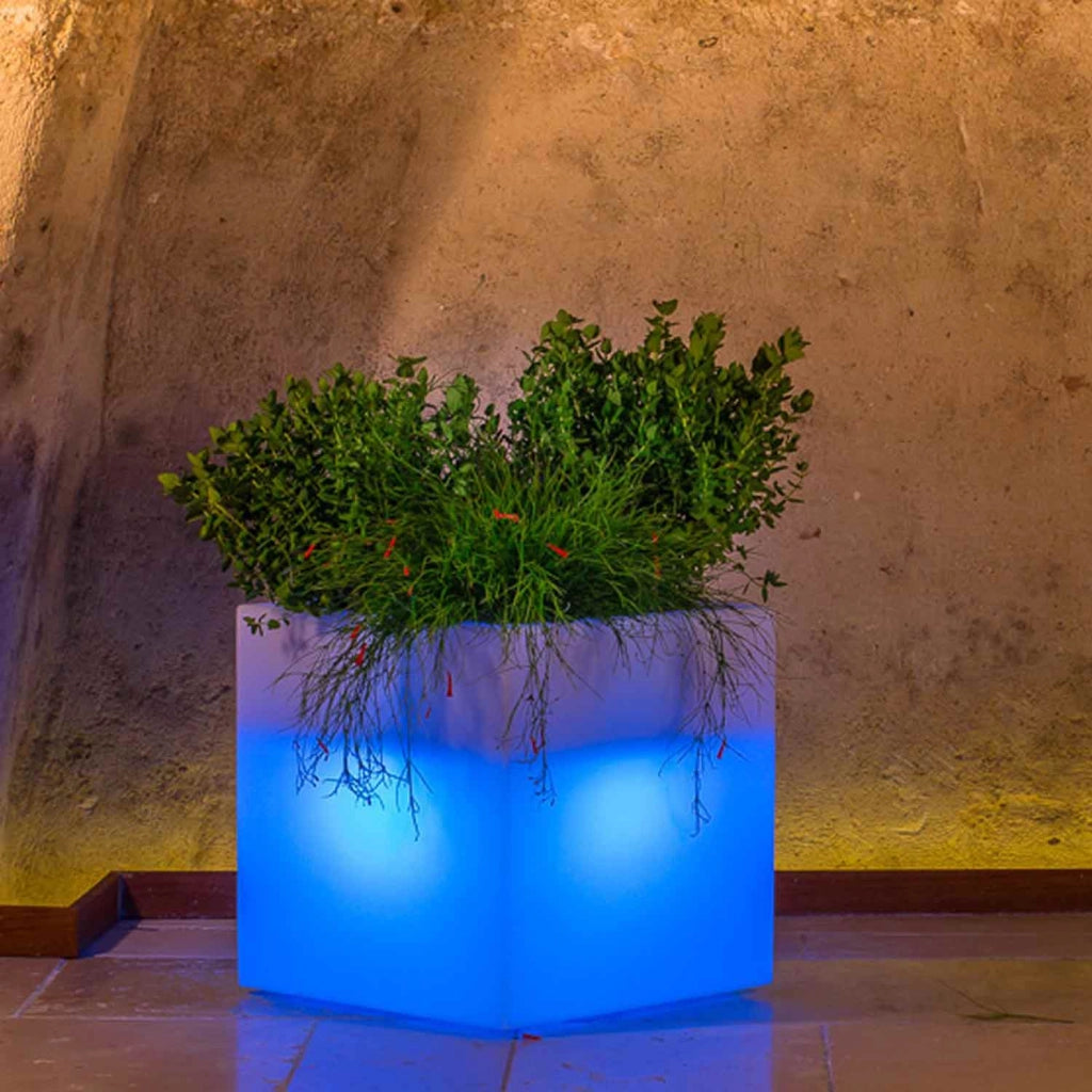 Vaso Cube In Resina Quadrato H40 Lampada Azzurra 40x40Cm