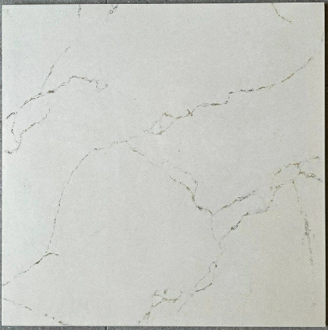 PAONAZZETTO LEVIGATO 60X60 - PROMO 1,44
