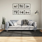 Tappeto a Pelo Lucido Lungo ISTAN Effetto Antracite 140x200 cm 375641