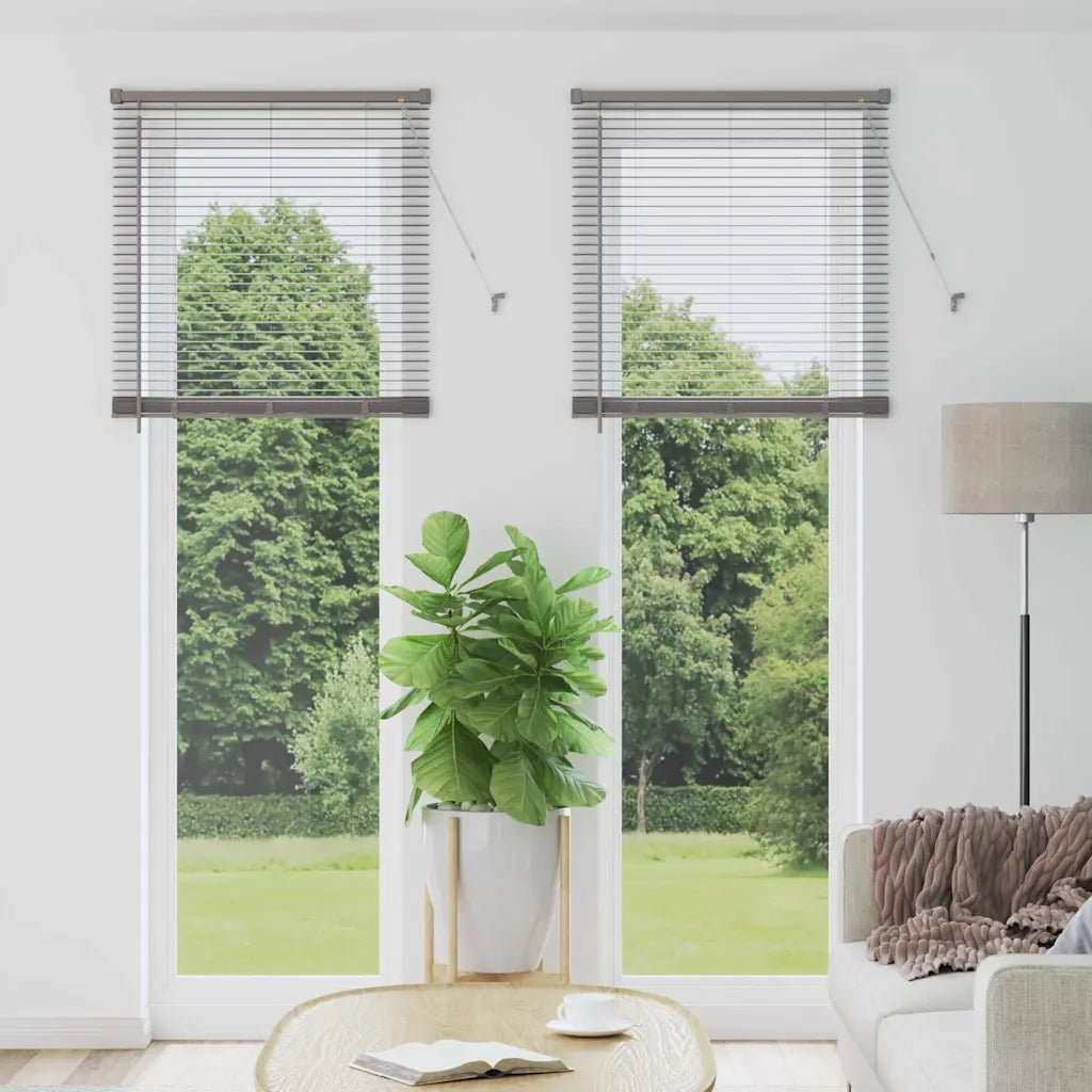 Tendaggi a Veneziana | Tenda a lamelle Argento 220 x 80 cm Alluminio