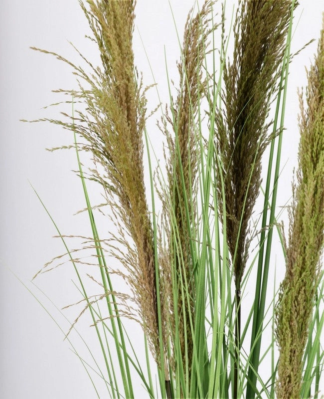 Set 4 Piante Artificiali con Vaso Ø 70x145 cm Pampas in Plastica Verde Marrone