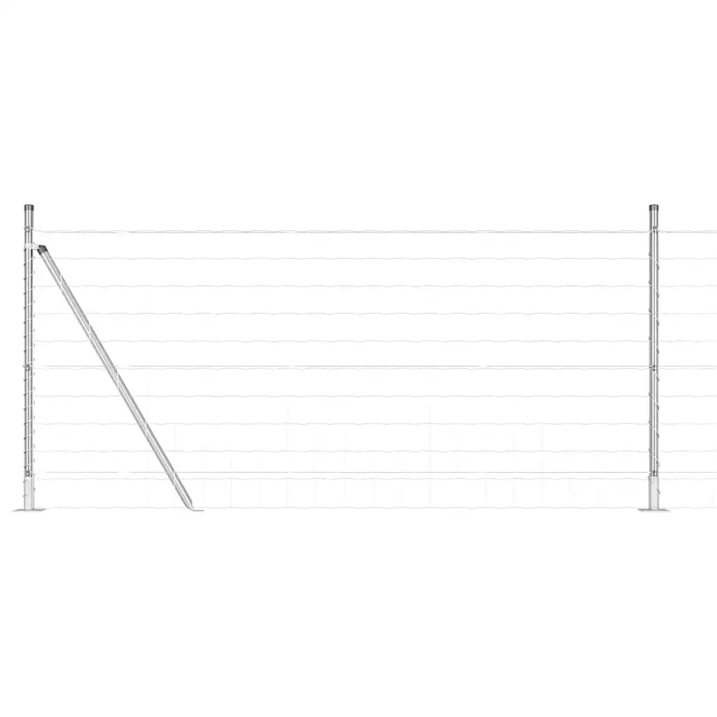 Recinzione con Posto Argento 0,8 x 25 m Acciaio