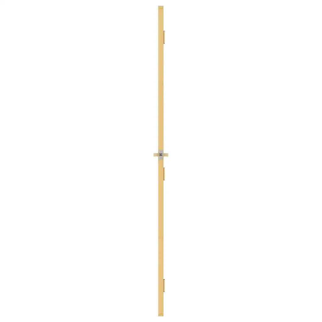 Porta Interni Sottile Oro 76x201,5cm Vetro Temperato Alluminio 155140
