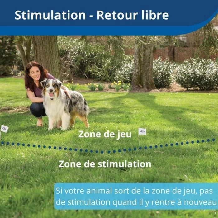 Collare ricevitore wireless per animali domestici PetSafe 3,6+ kg