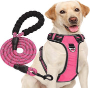 Harnes per cani Oxford Easy Control medio con cintura per cani pesante inclusa