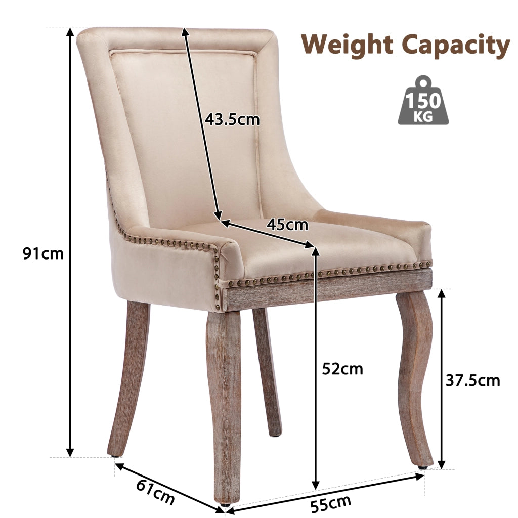 Sedia da pranzo imbottita, schienale curvo e borchie, gambe in legno, in velluto beige