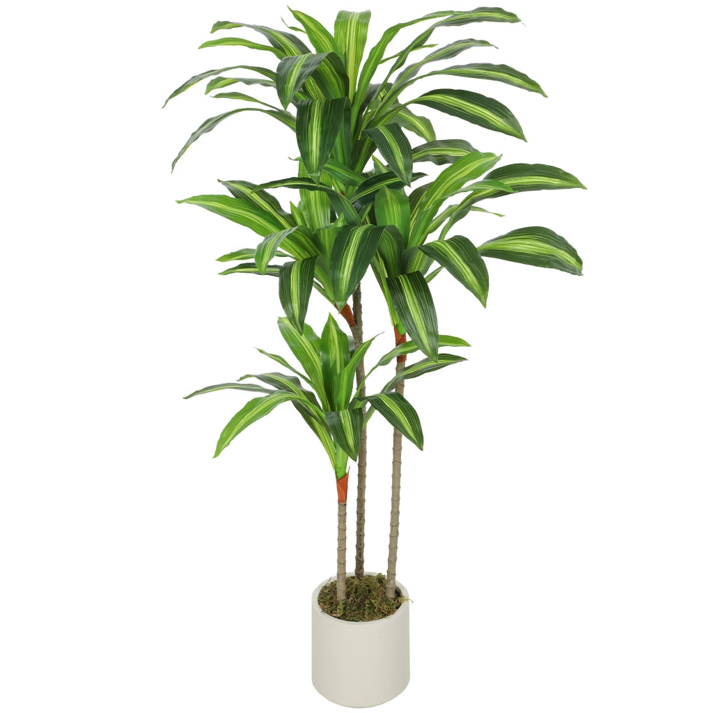 Albero Dracaena Artificiale ¨C Minimal ¨C 120 cm, bianco