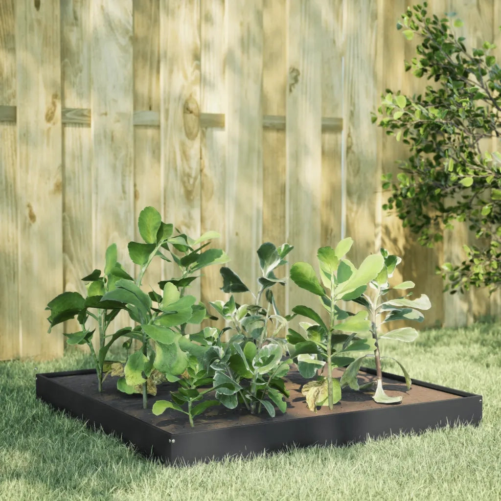 Fioriera | Cassetta per fiori | Vaso Rialzata da Giardino Antracite 100x100x18,5cm Acciaio