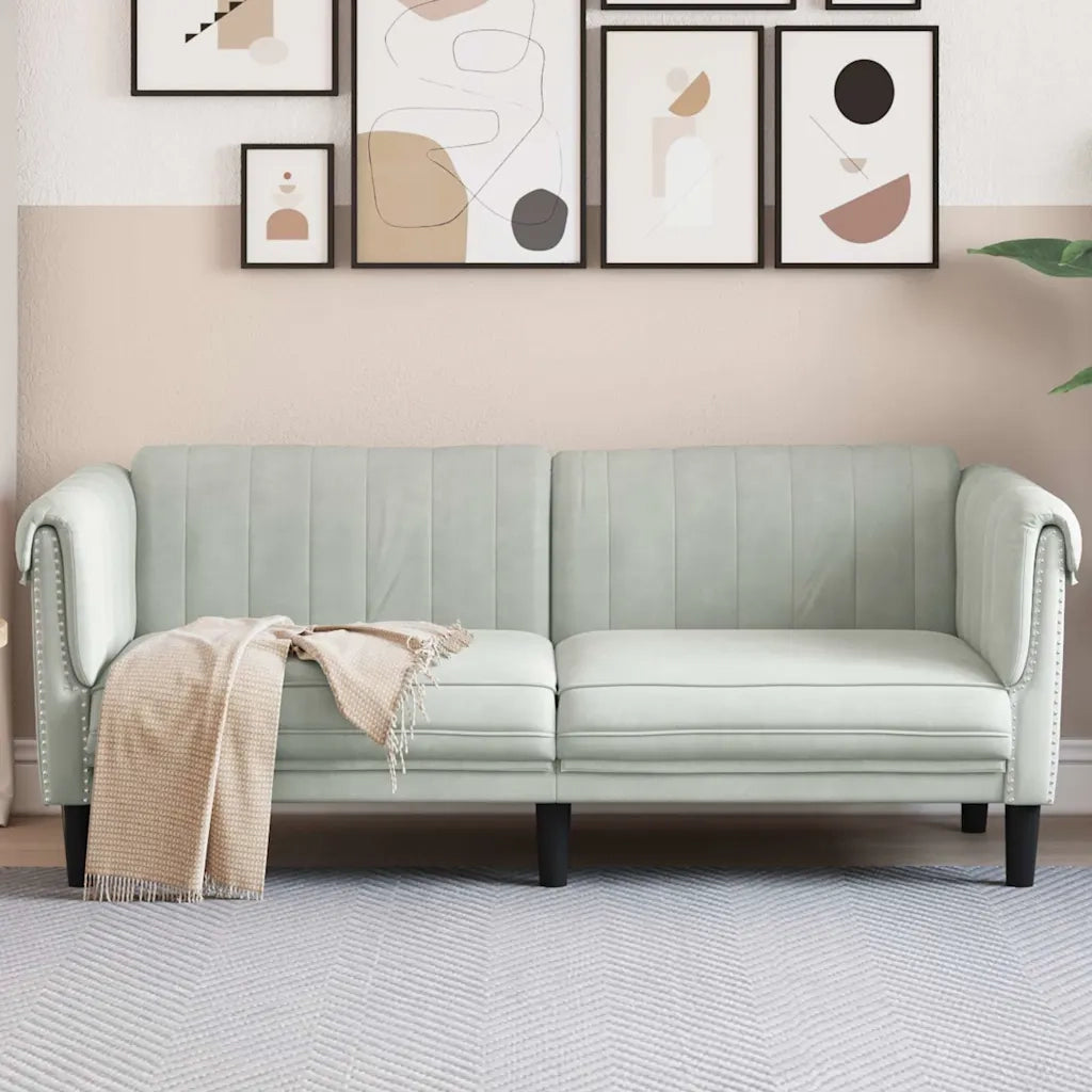 Divano | Divano da soggiorno | Sofa a 2 Posti Grigio Chiaro in Velluto