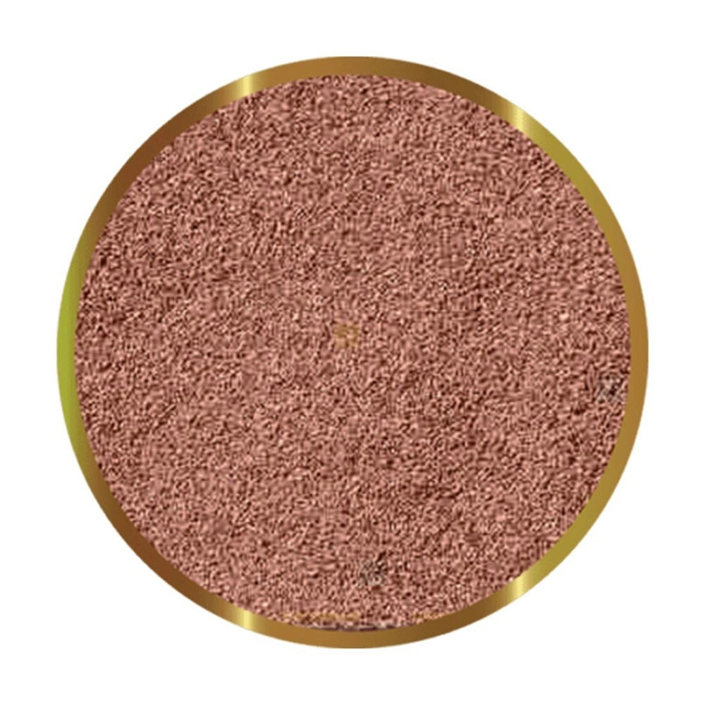 SHG Cisti di Artemia - 10gr