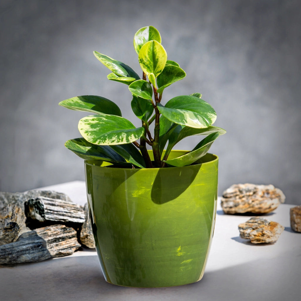 KADAX Vaso da fiori in plastica, coperchio per vaso da fiori da 18 cm, supporto per fiori in marmo verde
