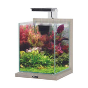 Zolux Jalaya 2 10L - acquario cm22,4x23,3x28,5h completo di filtro interno e plafoniera LED Colore: Zebrano Grigio