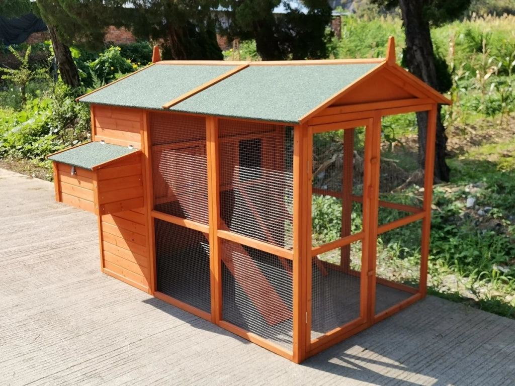 Pollaio, pollaio, extra alto