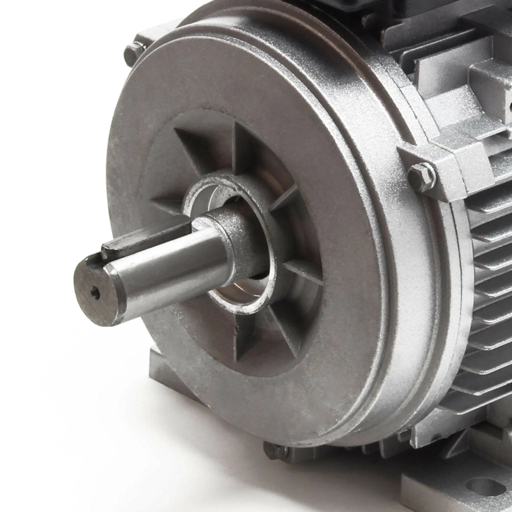 Motore asincrono monofase con rotore in rame 2 poli 230V 1,5kW IP55 classificazione elettrica 16_0002441