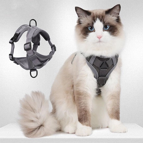Verstabile catena per gatti con cinghia - catena e corda, kit anti-escapatoria a rete soffice per gatti (taglia M).
