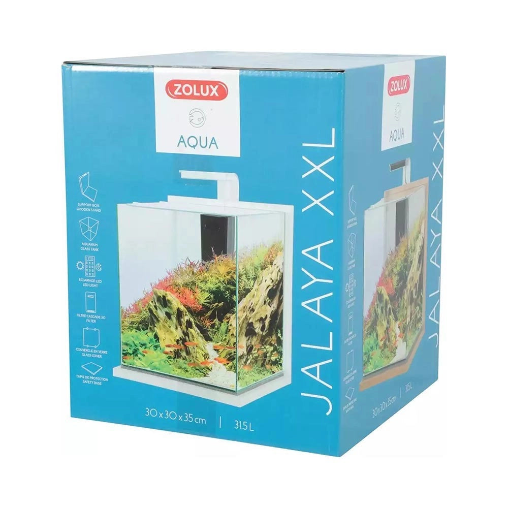 Zolux Jalaya XXL 31,5L - acquario cm30x30x35h completo di filtro interno e plafoniera LED Colore: Ceruse Bianco