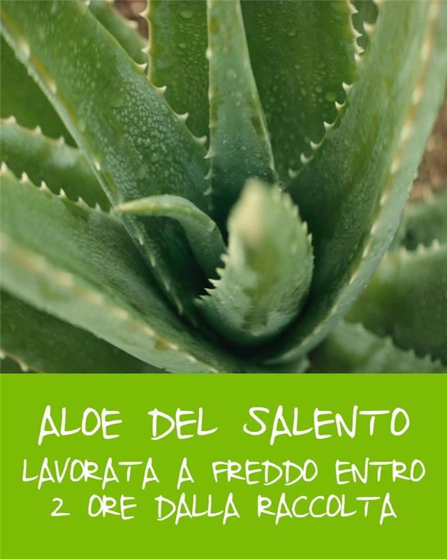 OMIA ECOBIO FISIO SHAMPOO ECOBIOLOGICO ALOE VERA DEL SALENTO IDRATANTE CAPELLI SECCHI NORMALI 0% SILICONI 200ML