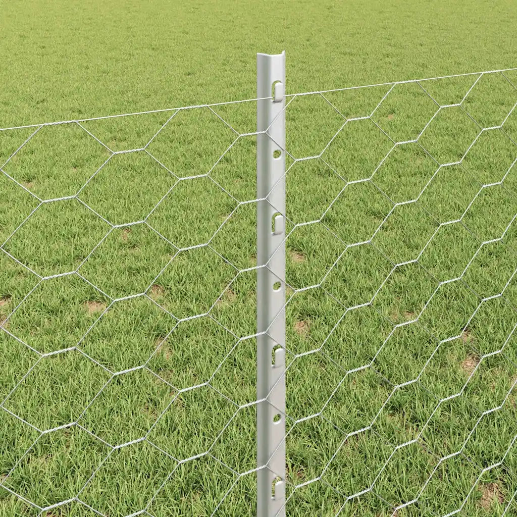 Recinzione da Giardino | Recinzione con Posto Argento