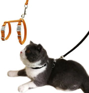 Kit di Cinturazione per Gatti - Vestito per Gatti con Leash - Cinturazione I-Beam per Gatti e Cani - Leash di Sicurezza - Con Snaps per Prevenire la Fuga - Comodo - Per Gatti e Piccoli Cani