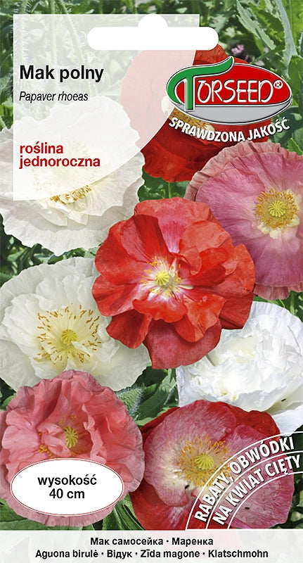 Papavero campestre - Papaver rhoeas mix 1g