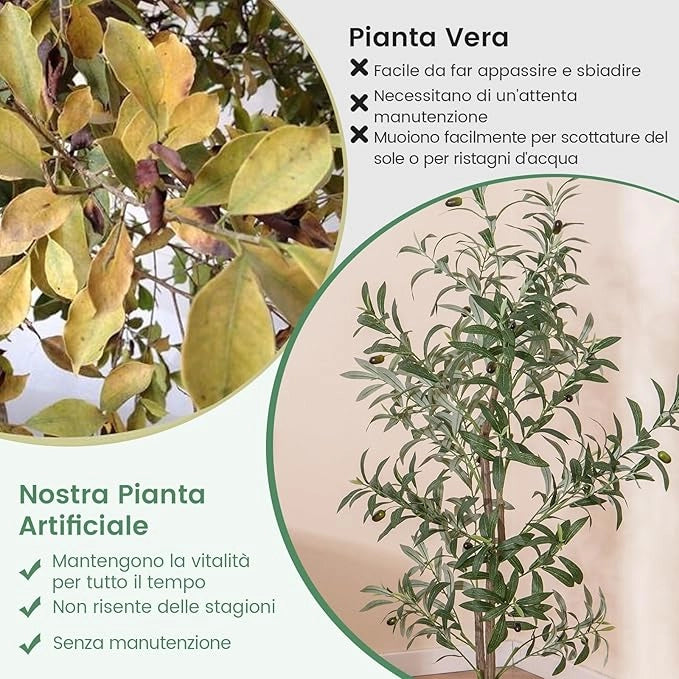 Pianta Finta di Oliva 160 cm, Pianta Olivo Artificiale in Vaso Decorazione per Casa e Ufficio, Pianta Finta in PE con Frutti Realistici da Interno ed Esterno (1)