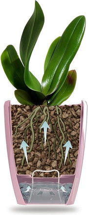 Set di vasi per orchidee da 6 - Vaso autoirriguo con sistema di schiuma d'acqua e indicator di livello - Diametro 15 cm - Bianco - 2 litri