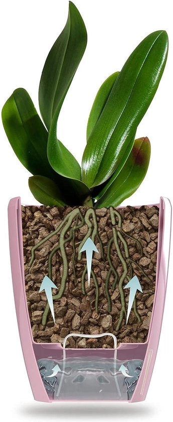 Set di vasi per orchidee da 6 - Vaso autoirriguo con sistema di schiuma d'acqua e indicator di livello - Diametro 15 cm - Bianco - 2 litri