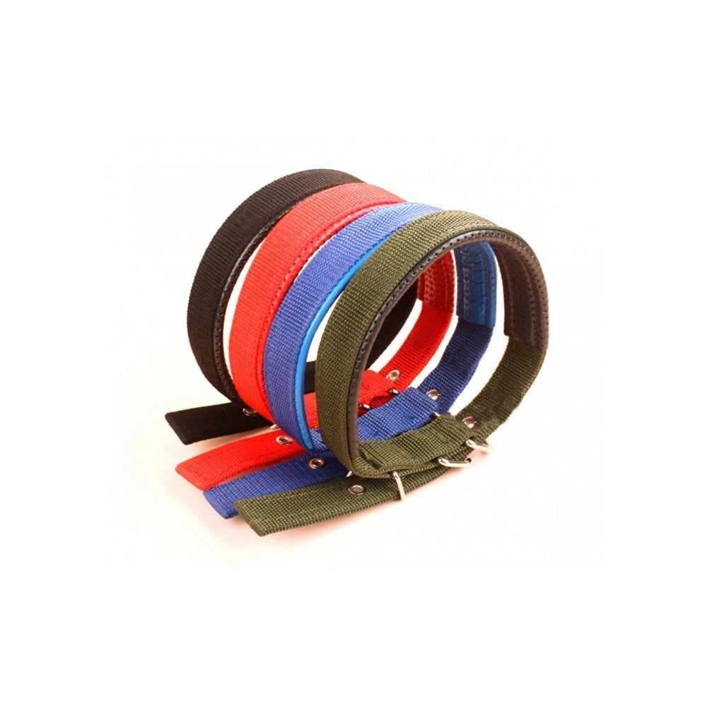 Trade Shop - Collare In Nylon Con Imbottitura Per Cani Piccola Tg. Chiusura Fibbia Regolabile -