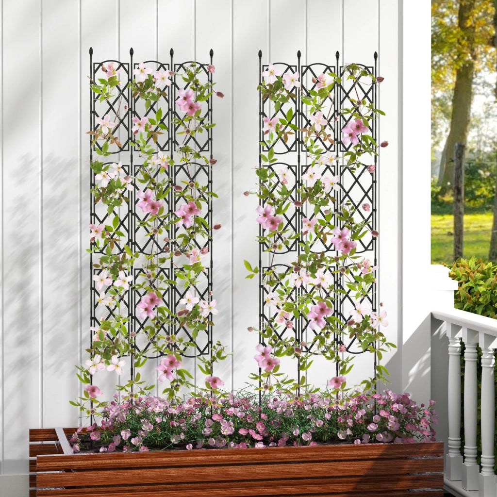 Trellis da giardino in metallo per piante rampicanti-Set da 3 supporti per piante Nero