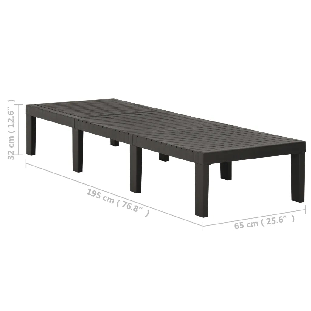 Lettino Prendisole | Sdraio da giardino | Lettino da sole in Plastica Antracite