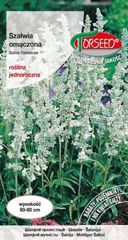 Salvia inzuppata - Salvia farinacea blu 0,5g