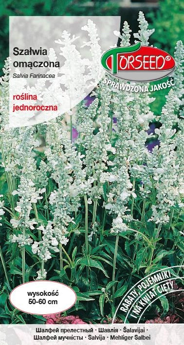 Salvia inzuppata - Salvia farinacea blu 0,5g