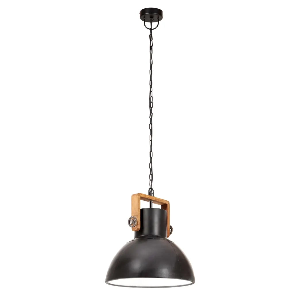 Lampada a Sospensione Industriale 25 W Nera Rotonda 30 cm E27 CFW7142644