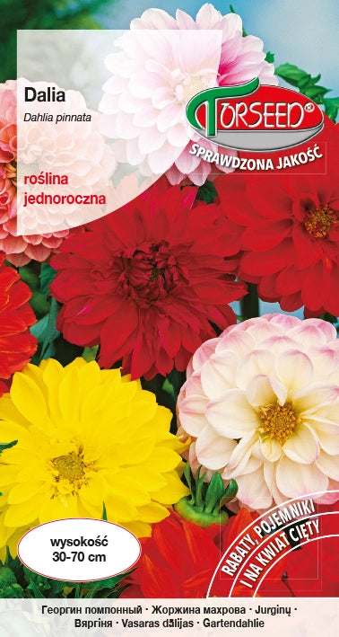 Dahlia variabile - Dahlia pinnata intera e semidoppia mix 1g