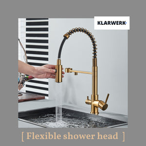 Bernd | Filtro oro opaco  3 vie gastronomia Rubinetto cucina amolla in acciaio inossidabile osmosi|Miscelatore da ristorante ruotabile 360°