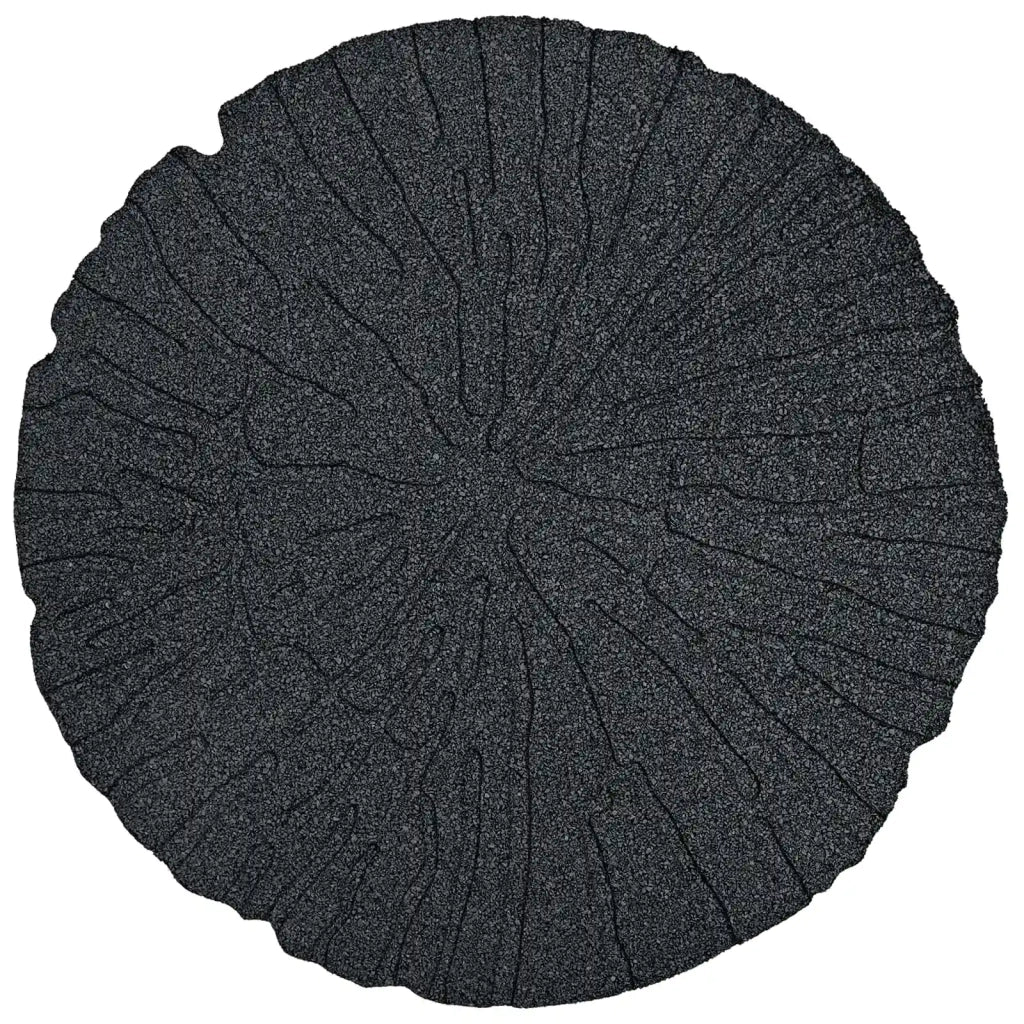 Pietra da Passo 6 pcs Nero Ø 45 x 1,8 cm Gomma