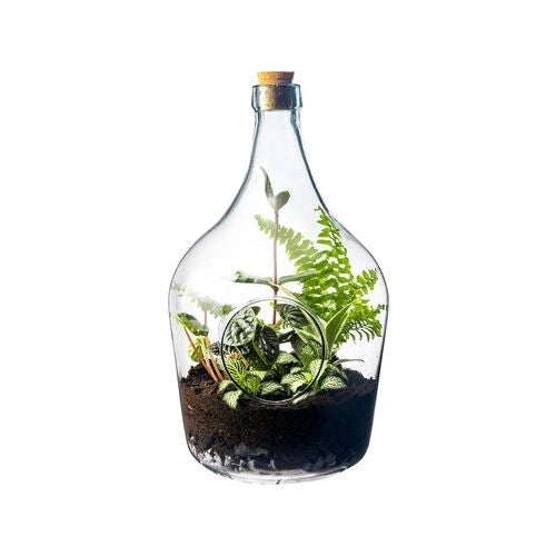 Terrario Bottle Garden Holed 15L 29,5x29,5x45,8 cm – Bottiglia in Vetro