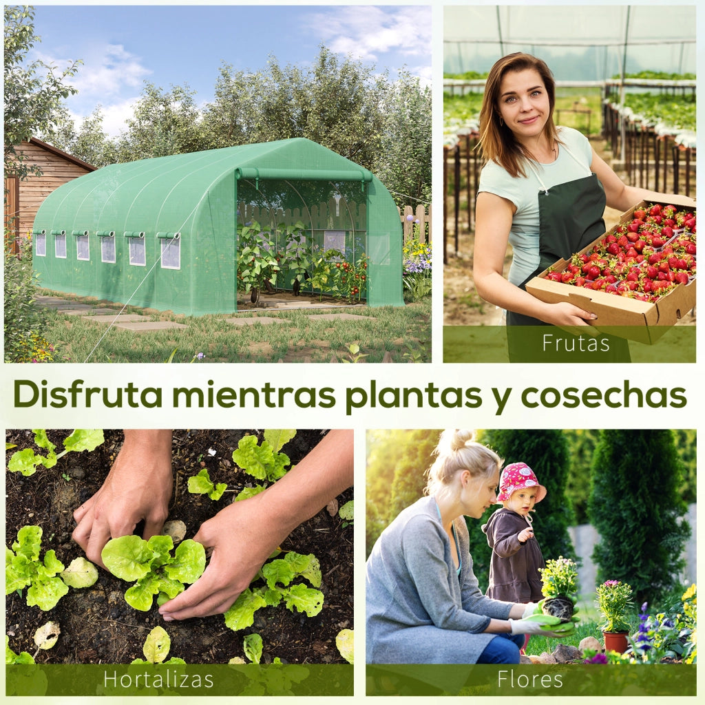 Serra da Giardino Tunnel Grande 6x3x2 m ¨C zephmum ¨C Verde con 12 Finestre e Porta a Zip