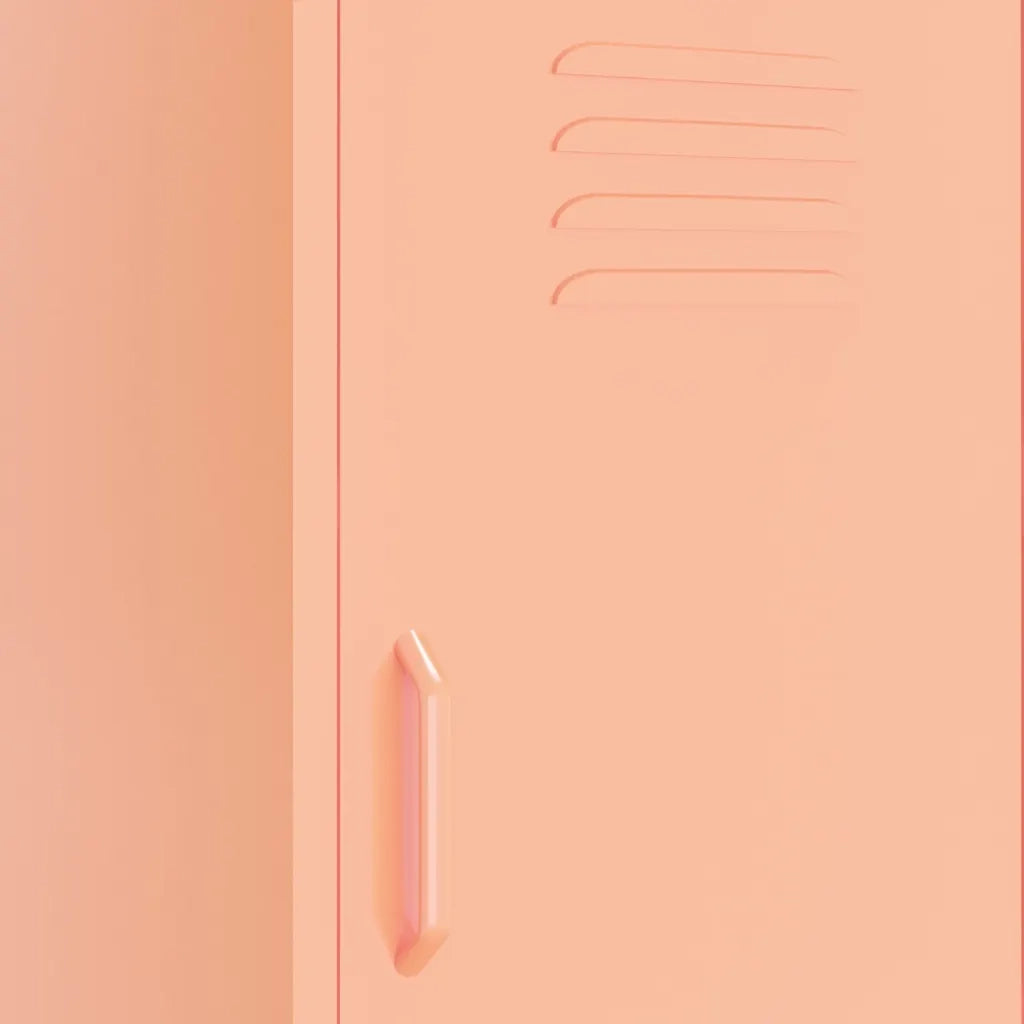 Armadietto Rosa 42,5x35x101,5 cm in Acciaio
