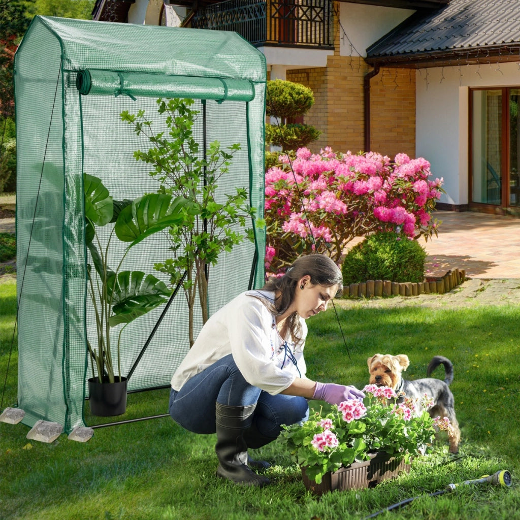 Serra da giardino accessibile con struttura in acciaio, Serra portatile con porta a cerniera copertura PE Verde-Serre da giardino