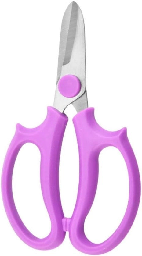 Foglie di Acciaio Inox per Tagliare Fiori, Frutta e Foglie con Precisione