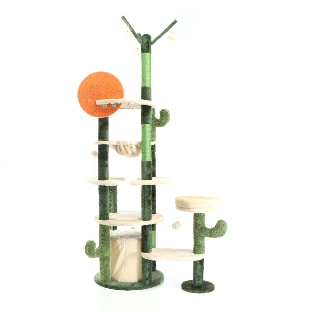 Fudajo Albero tiragraffi per gatti verde cactus 172 cm con casetta amaca e palline